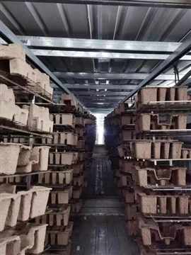 Hesheng nadograđuje proizvodnju lijevane celuloze: napredna proizvodnja celul...